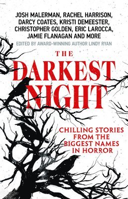 bokomslag The Darkest Night: A Terrifying Anthology of Winter Horror Stories by Bestselling Authors, Perfect for Halloween