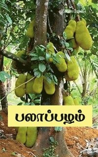 bokomslag Palaaazham