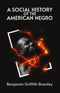 bokomslag A Social History of the American Negro