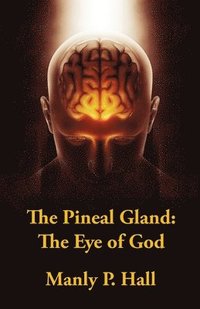 bokomslag The Pineal Gland