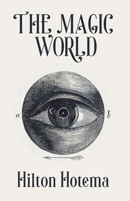 bokomslag Magic World
