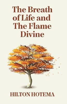 bokomslag Breath Of Life And The Flame Divine