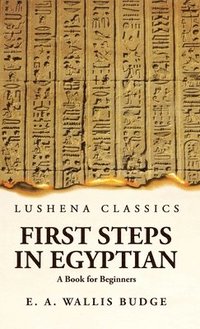 bokomslag First Steps in Egyptian A Book for Beginners