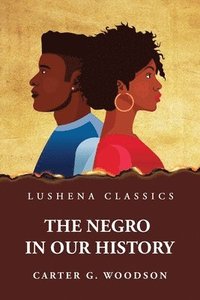 bokomslag Negro in Our History