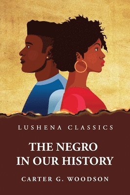 bokomslag Negro in Our History