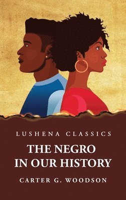 bokomslag Negro in Our History