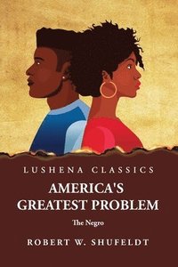 bokomslag America's Greatest Problem The Negro