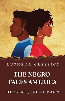 bokomslag Negro Faces America