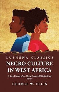 bokomslag Negro Culture in West Africa A Social Study of the Negro Group of Vai-Speaking People