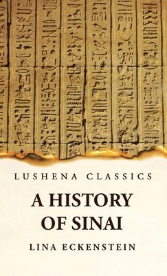 bokomslag History of Sinai