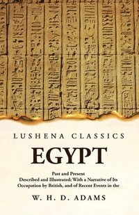 bokomslag Egypt Past and Present