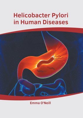 bokomslag Helicobacter Pylori in Human Diseases