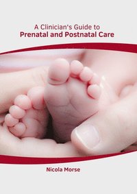 bokomslag A Clinician's Guide to Prenatal and Postnatal Care