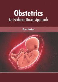 bokomslag Obstetrics: An Evidence-Based Approach