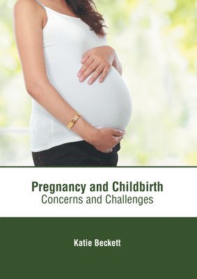 bokomslag Pregnancy and Childbirth: Concerns and Challenges