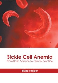 bokomslag Sickle Cell Anemia: From Basic Science to Clinical Practice