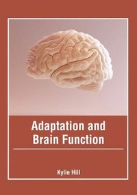 bokomslag Adaptation and Brain Function