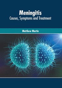 bokomslag Meningitis: Causes, Symptoms and Treatment