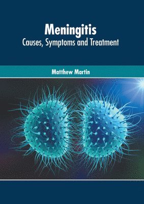 Matthew Martin - Meningitis: Causes, Symptoms and Treatment, Inbunden