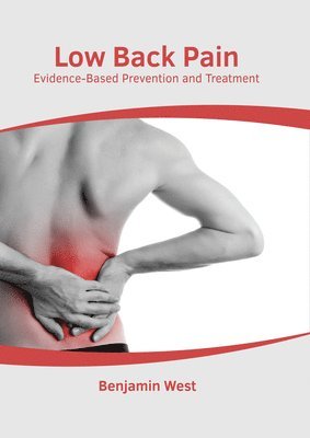 bokomslag Low Back Pain: Evidence-Based Prevention and Treatment