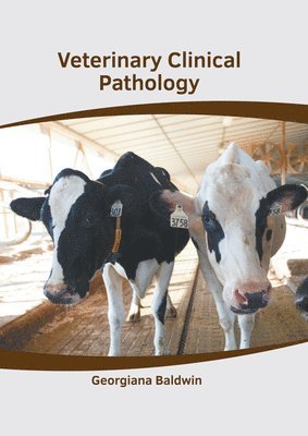 bokomslag Veterinary Clinical Pathology