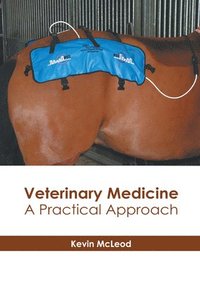 bokomslag Veterinary Medicine: A Practical Approach