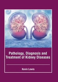 bokomslag Pathology, Diagnosis and Treatment of Kidney Diseases