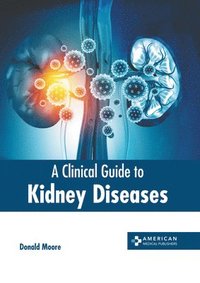 bokomslag A Clinical Guide to Kidney Diseases