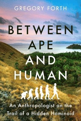 bokomslag Between Ape and Human