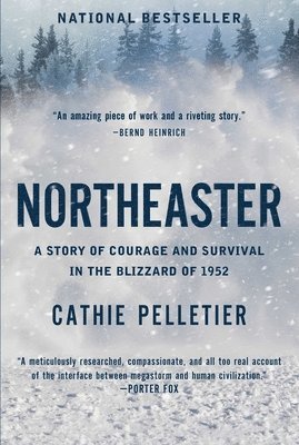 Cathie Pelletier - Northeaster, Häftad