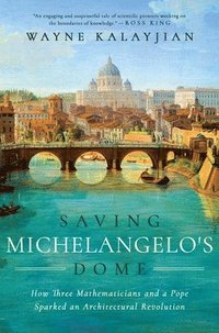 bokomslag Saving Michelangelo's Dome