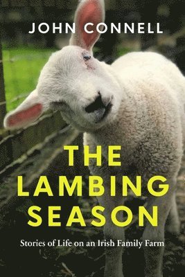 bokomslag Lambing Season