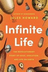 bokomslag Infinite Life: The Revolutionary Story of Eggs, Evolution, and Life on Earth