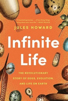 Jules Howard - Infinite Life: The Revolutionary Story of Eggs, Evolution, and Life on Earth, Inbunden
