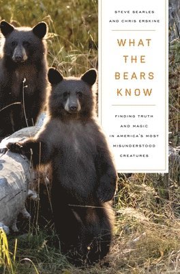 What the Bears Know 1