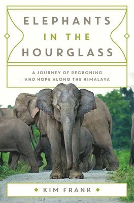 Elephants in the Hourglass 1