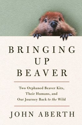 bokomslag Bringing Up Beaver: Two Orphaned Beaver Kits, Their Humans, and Our Journey Back to the Wild.