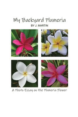 My Backyard Plumeria: A Photo Essay on the Plumeria Flower 1