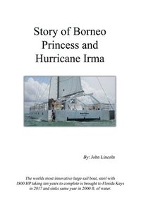 bokomslag Story of Borneo Princess and Hurricane Irma