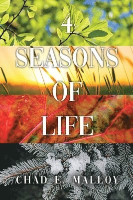 bokomslag 4 Seasons of Life