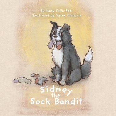 bokomslag Sidney the Sock Bandit