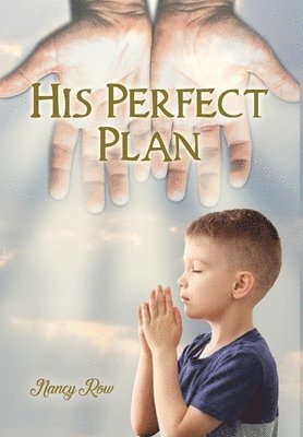 Nancy Row - His Perfect Plan, Inbunden