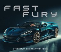 bokomslag Fast Fury