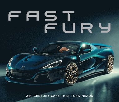 bokomslag Fast Fury
