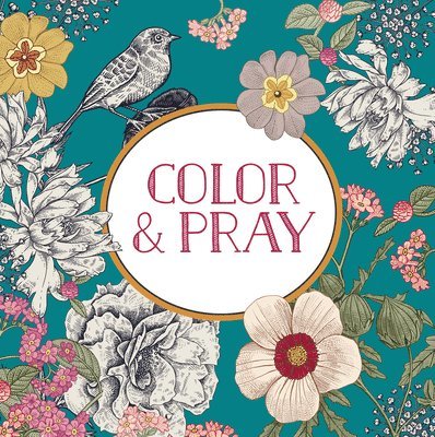 New Seasons, Publications International Ltd - Color & Pray (Keepsake Coloring Books), Häftad