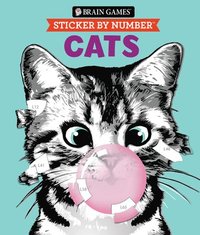 bokomslag Brain Games - Sticker by Number: Cats: Volume 2