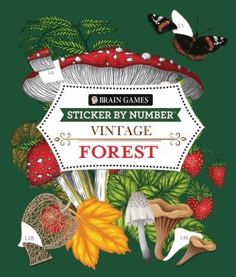 Brain Games - Sticker by Number - Vintage: Forest (28 Images to Sticker)
