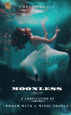 Moonless Night 1