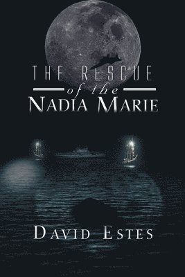 bokomslag Rescue of Nadia Marie