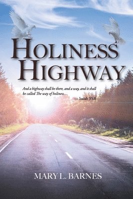 bokomslag Holiness Highway